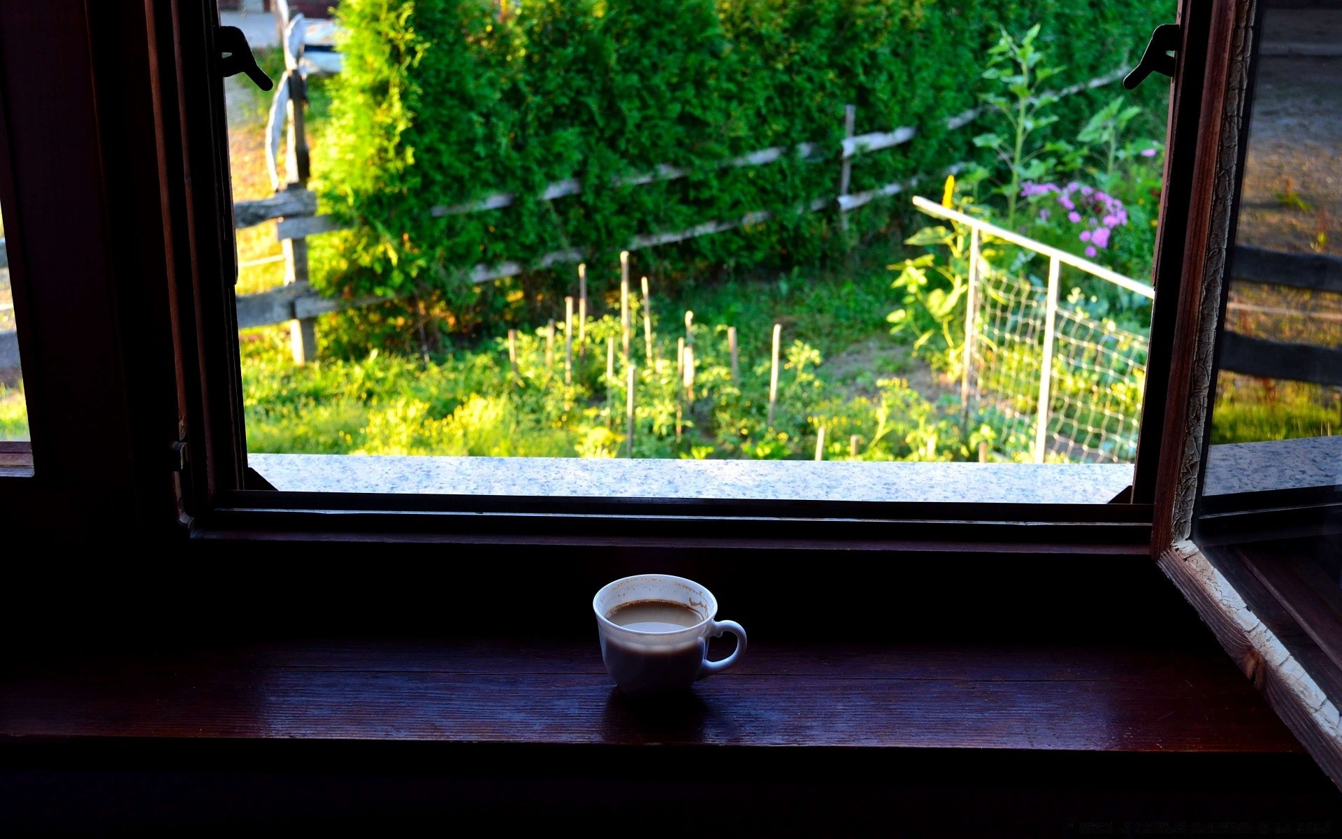 Tominaga morning window