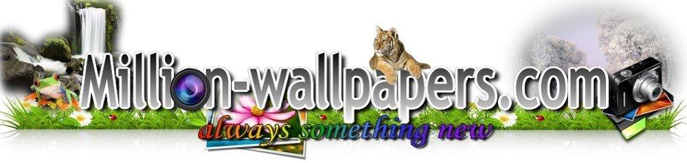 Ноутбуктер мен смартфондарға арналған HD Тұсқағаз million-wallpapers.com