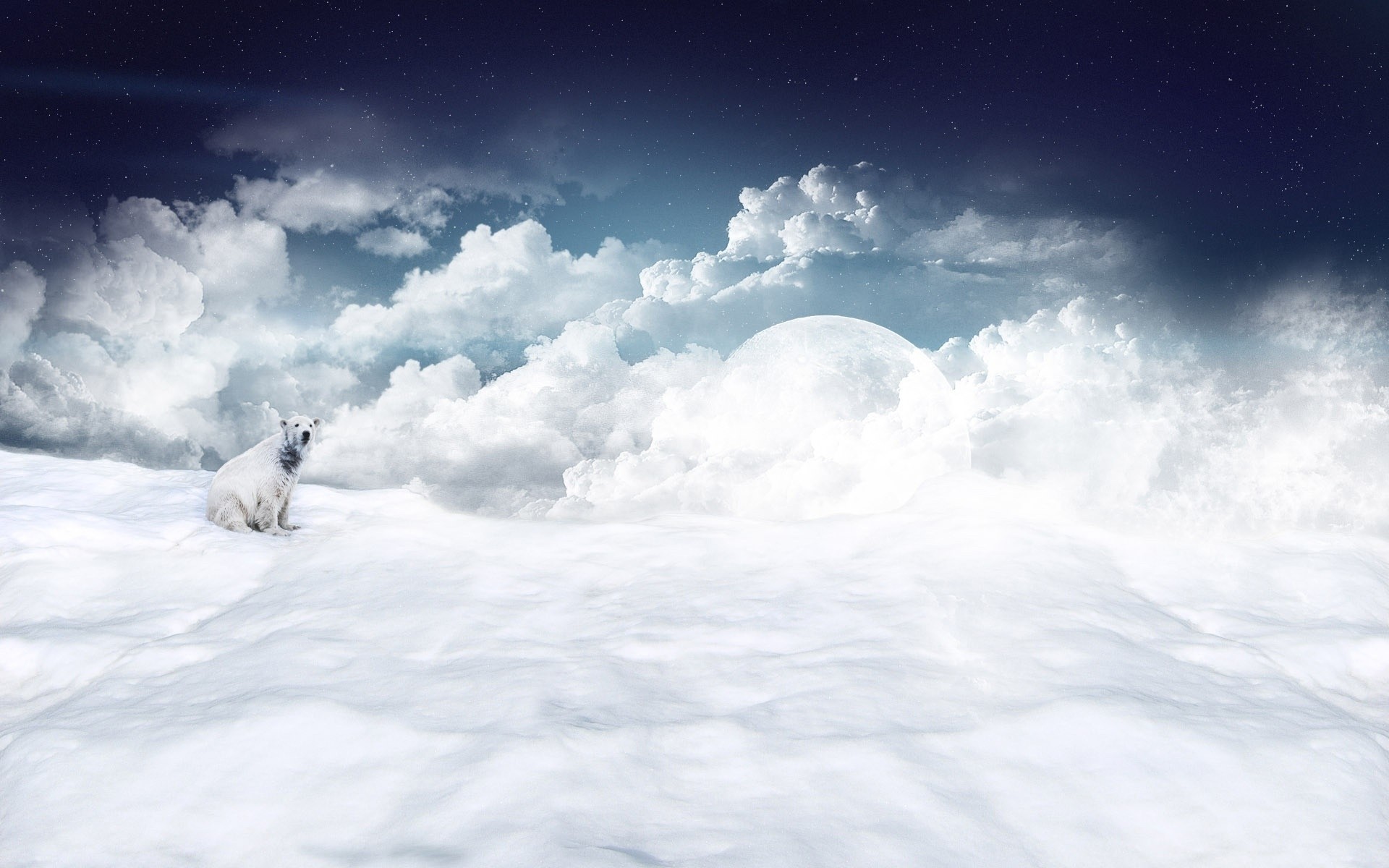 fantasia inverno neve céu tempo paisagem natureza frio luz ao ar livre nuvem gelo tempestade bom tempo luz do dia espaço urso polar