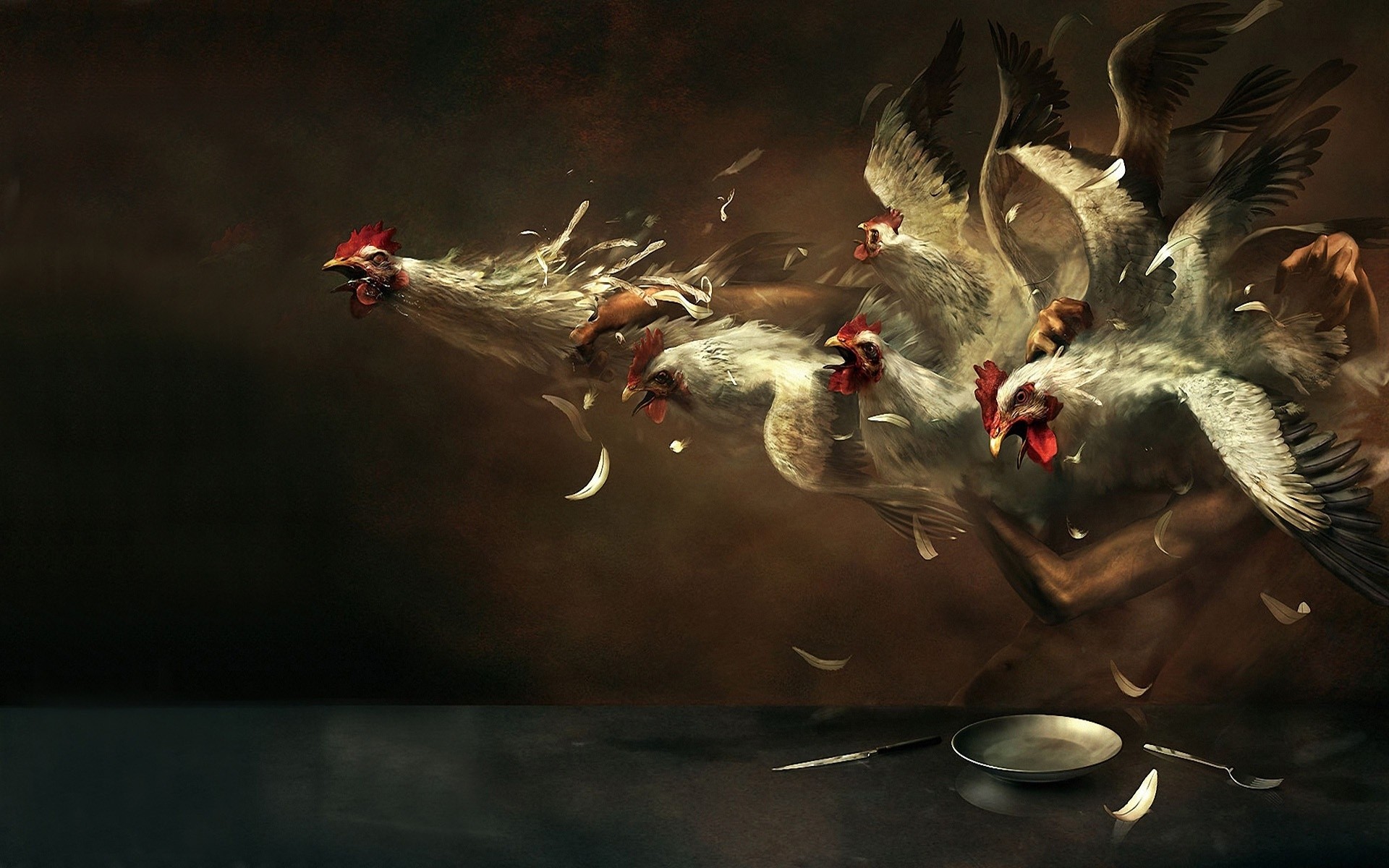 animaux oiseau oiseaux concours eau action canard faune pigeon mouvement animal natation poules
