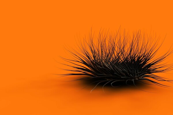 Unusual abstraction on an orange background