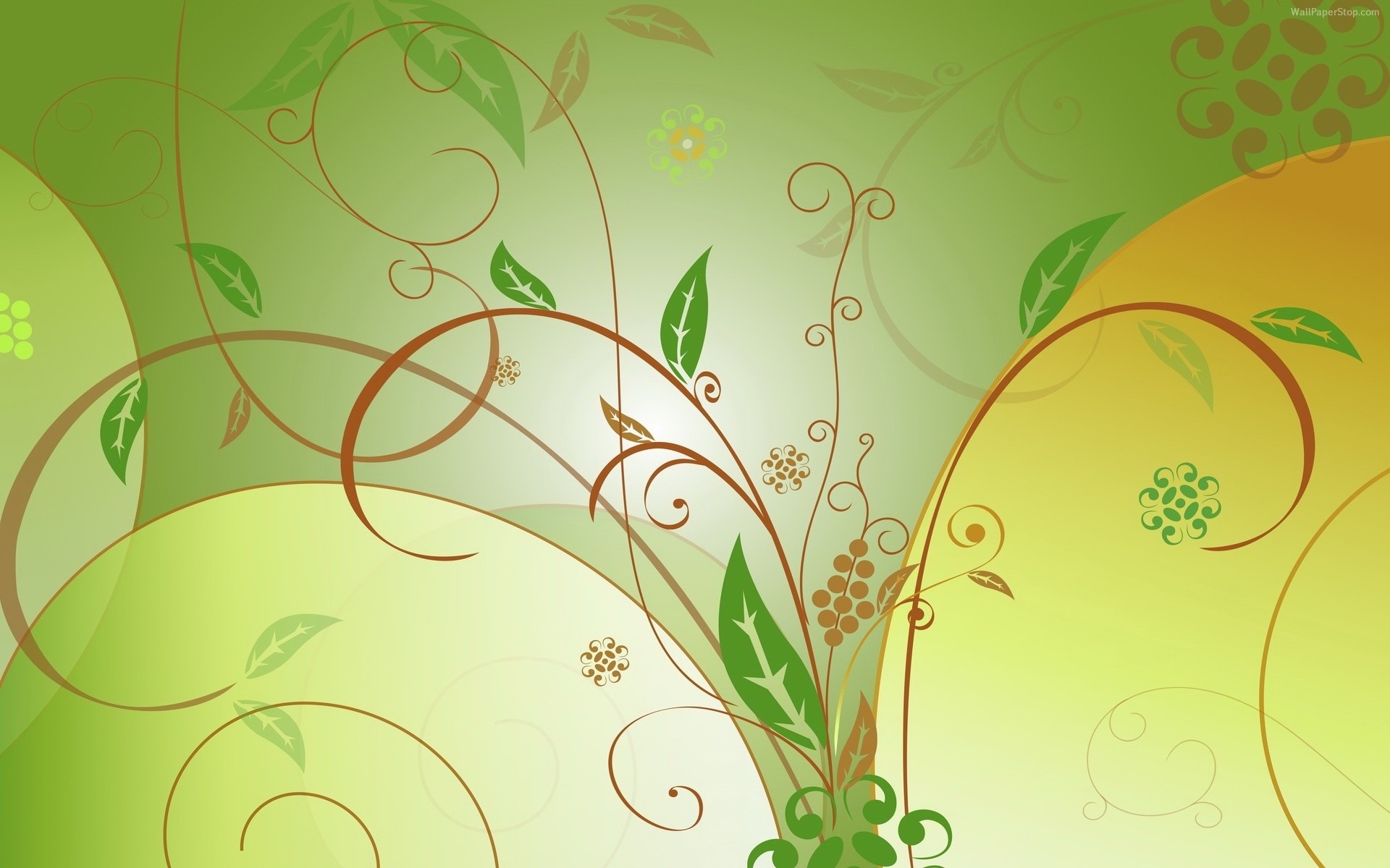 abstract leaf illustration design decoration vector floral flora graphic flower desktop art wallpaper curve ornate pattern element