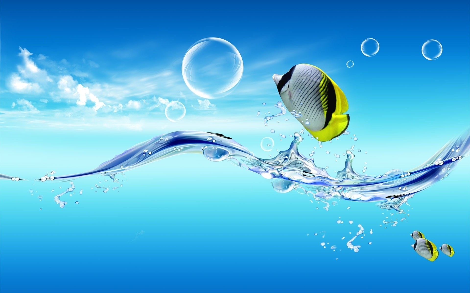 amphibians underwater bubble nature clear sea ocean desktop motion turquoise color fish