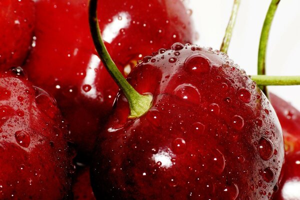 Cherry berry with water drops