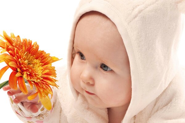 Baby on a white background with a flower