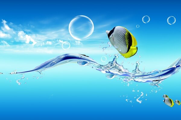 Nature marine animals, underwater bubble