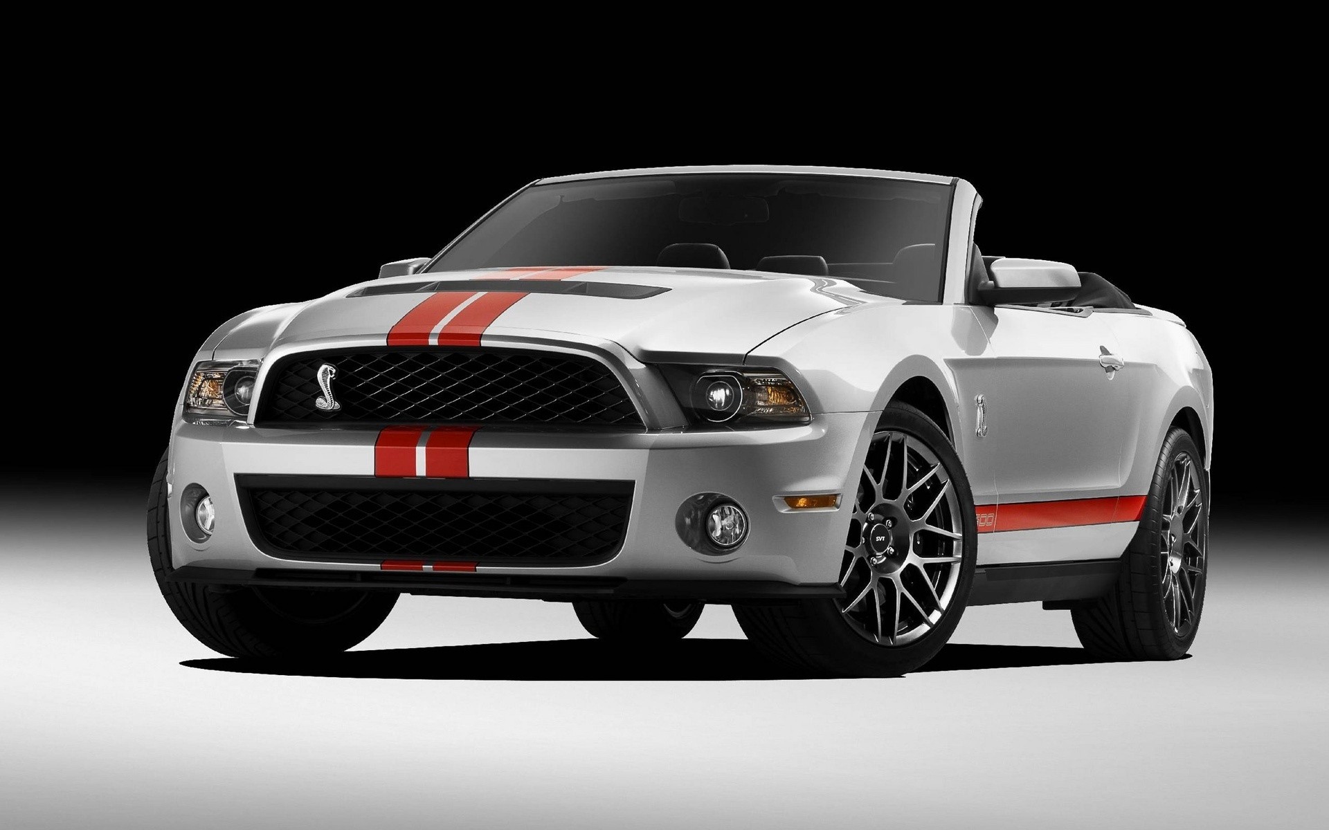 ford coche coche carreras rápido automóvil ruedas mediodía sistema de transporte unidad acción ford shelby shelby