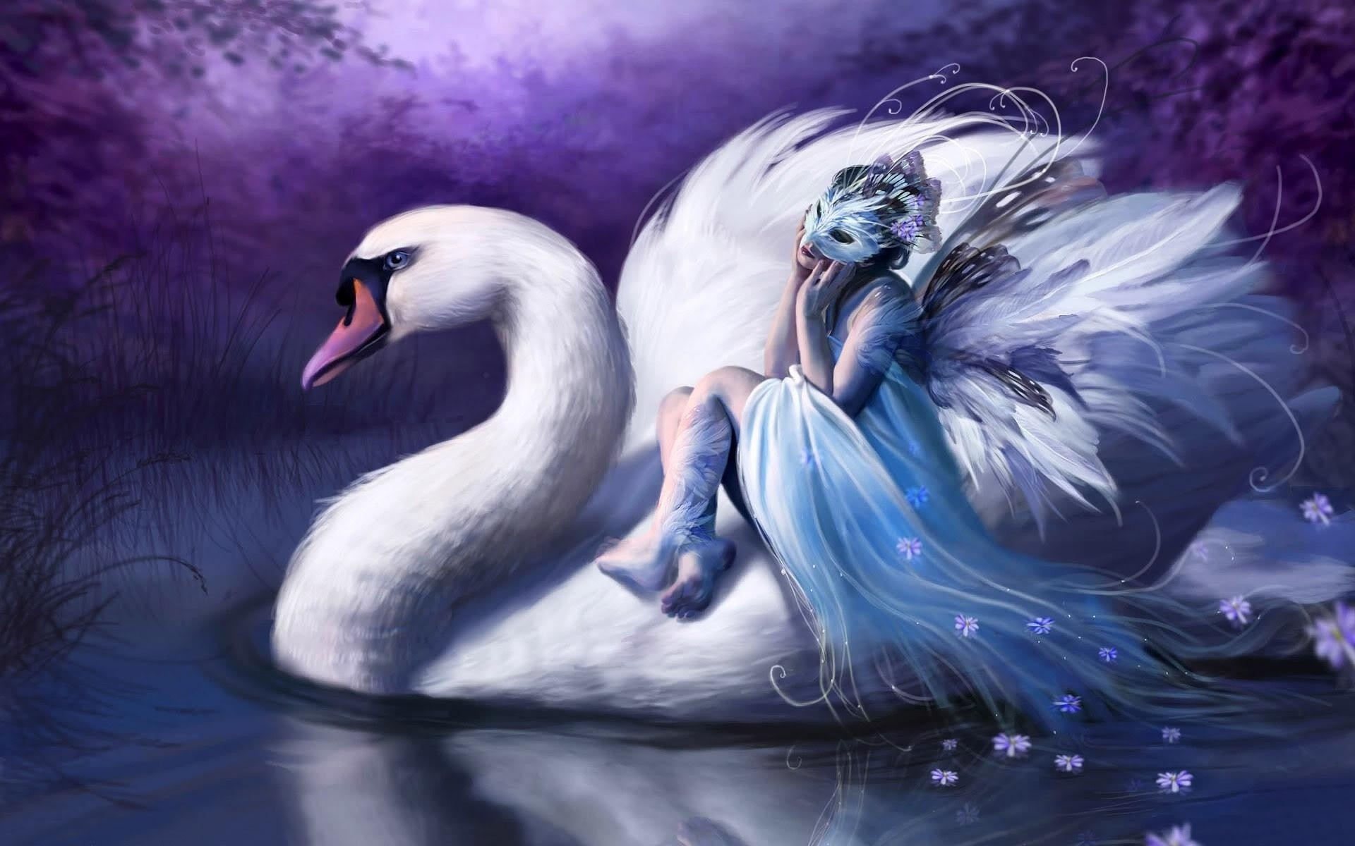 fantasy oiseau plume eau cygne nature