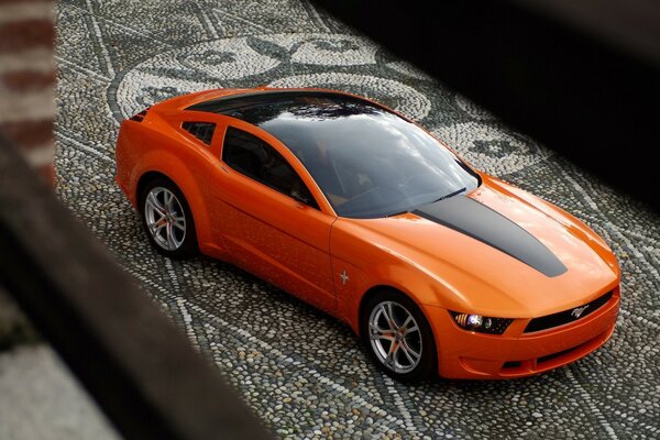 Orange Ford on a stone path