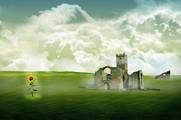 An old ruined building and a sunflower in a field