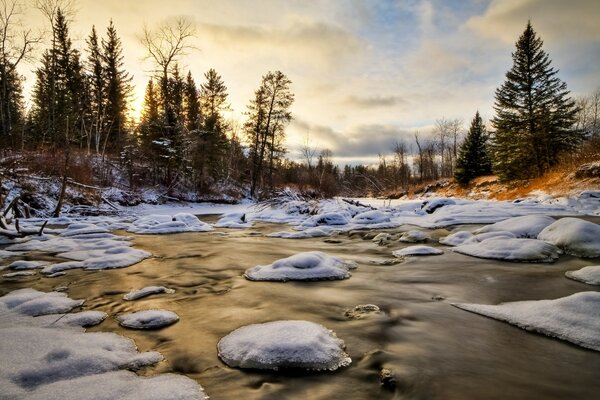 Foresta invernale innevata con ruscello che scorre