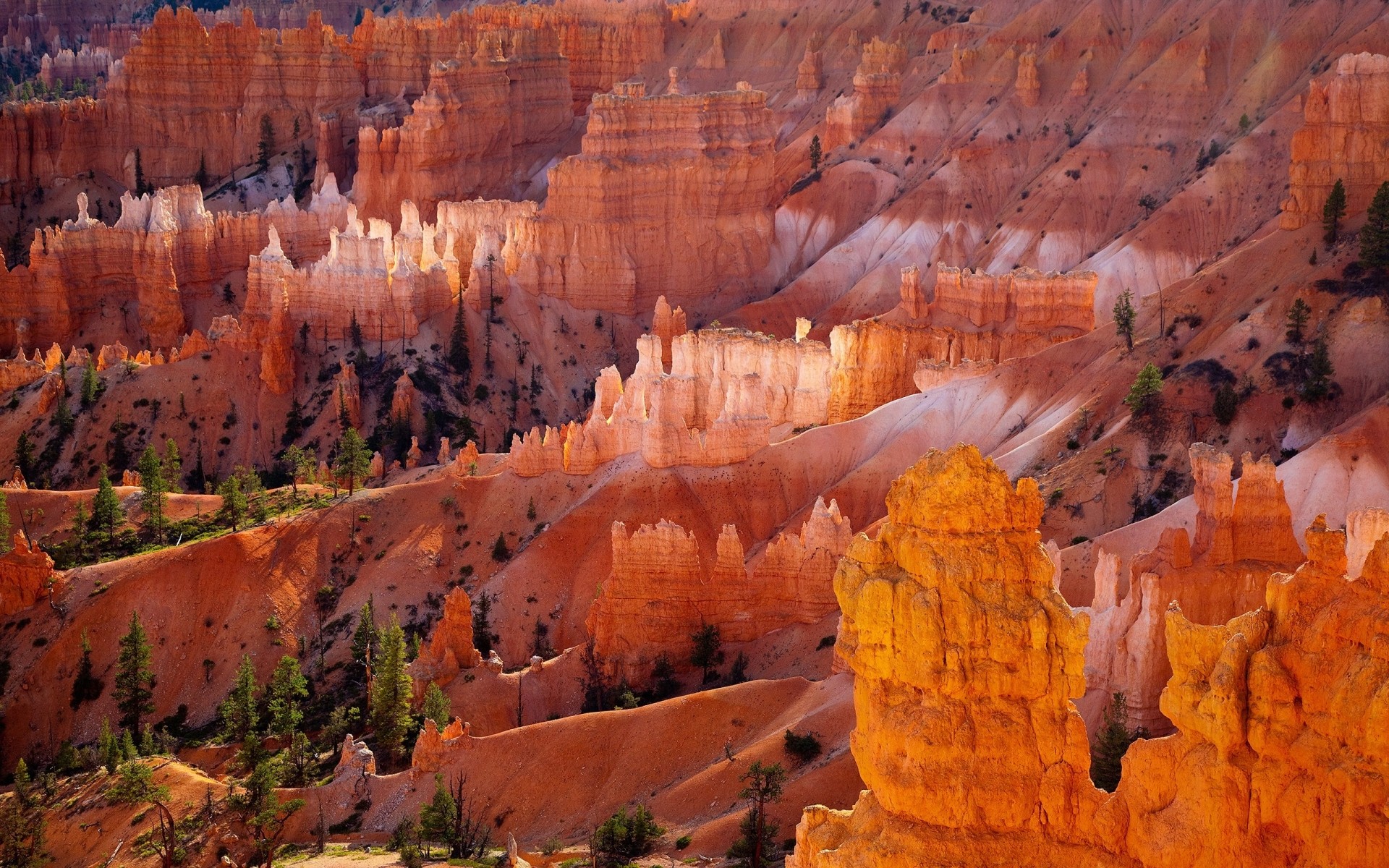 landscapes outdoors canyon travel sandstone geology landscape scenic fall nature amphitheater park erosion pinnacle rock