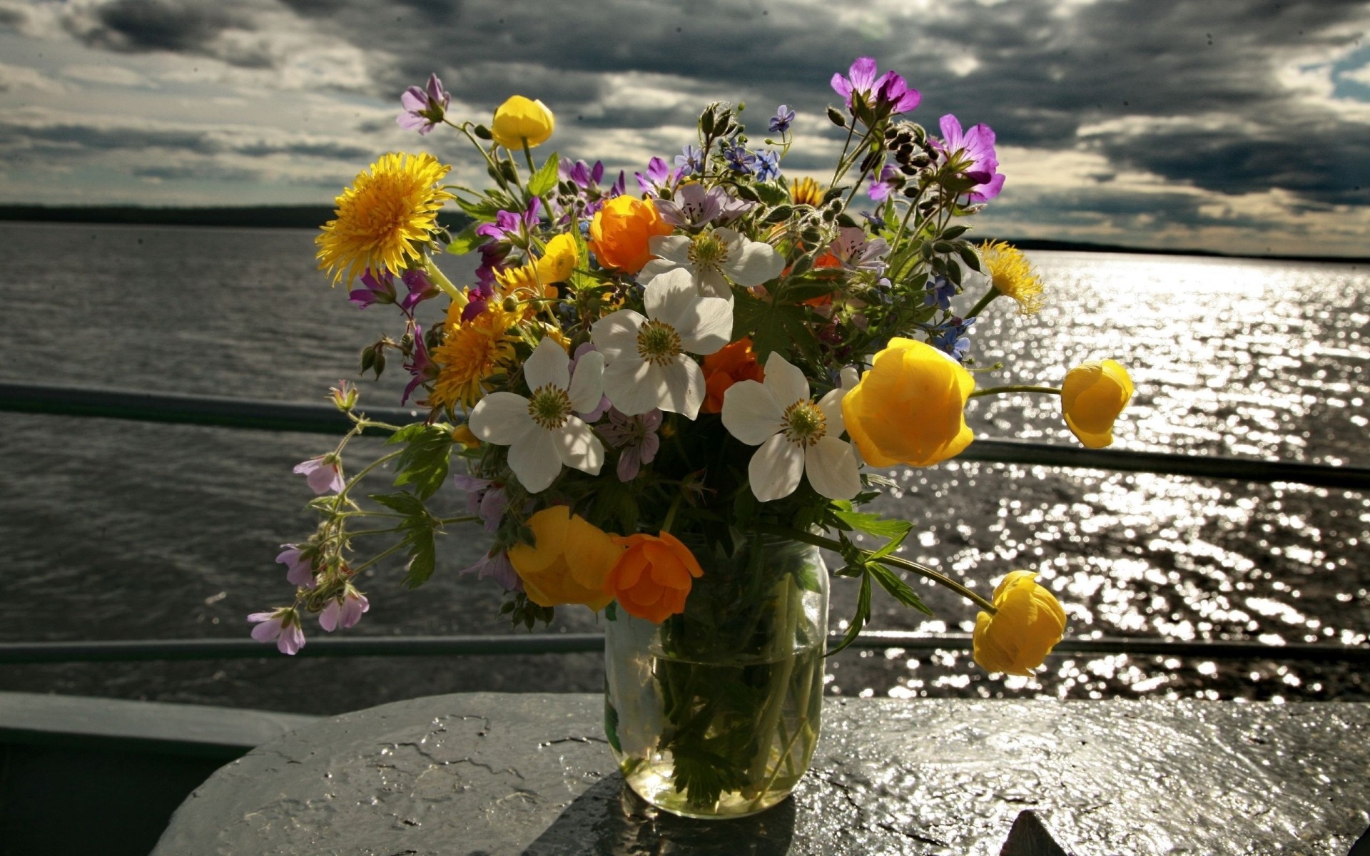 çiçekler doğa çiçek flora yaz bahçe yaprak açık havada çiçeklenme sezon renk çiçek