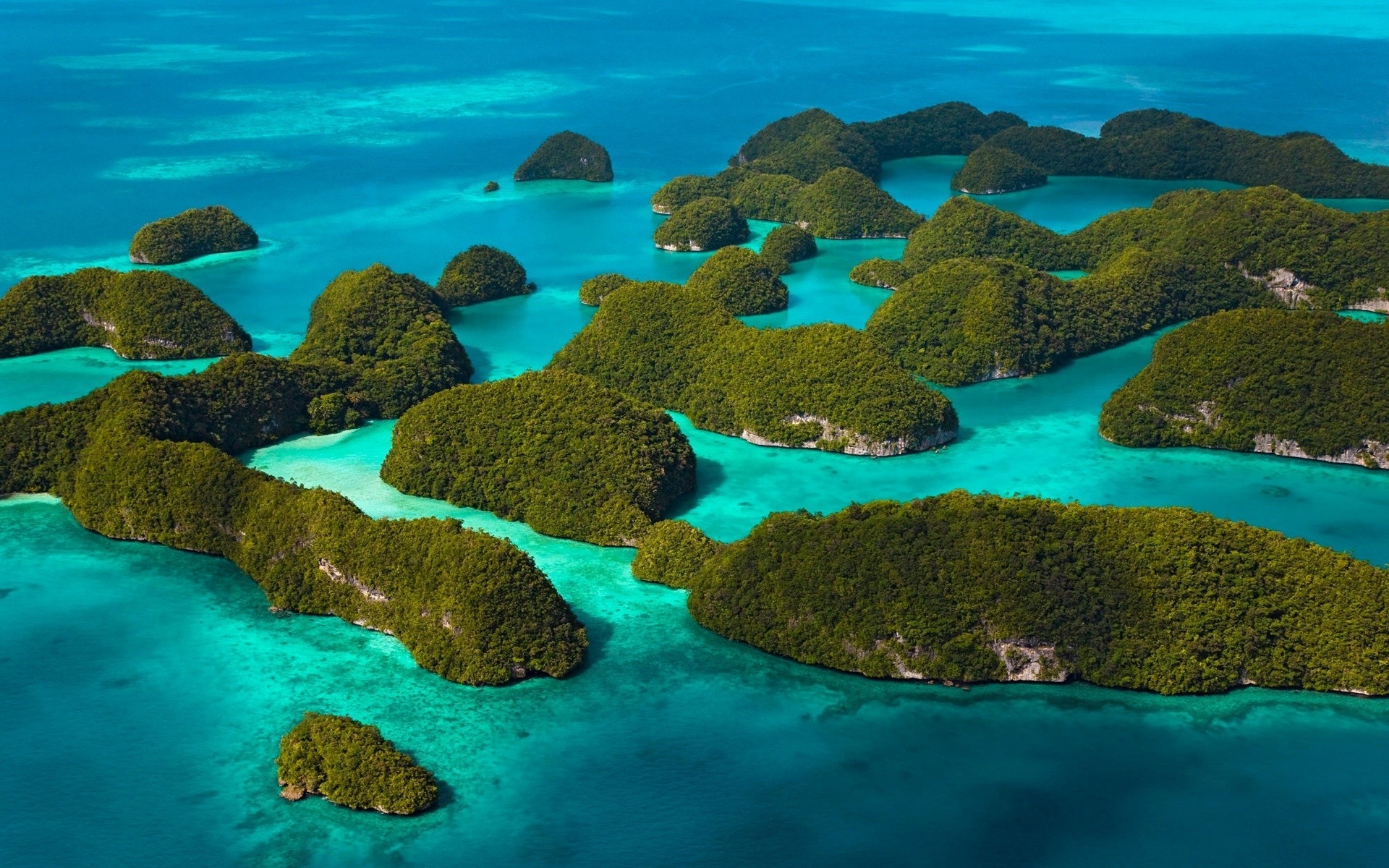 paisaje agua submarino océano mar viajes paisaje tropical arrecife coral naturaleza turquesa paisaje isla