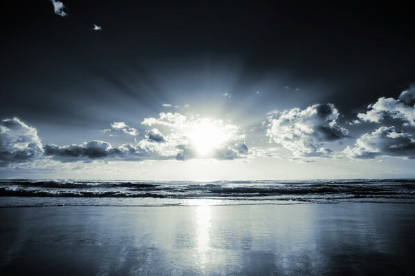 Tramonto sulla spiaggia vicino all acqua