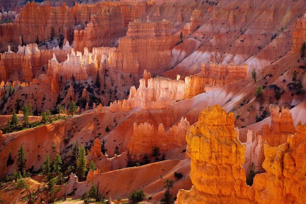 Increíbles cañones de arena