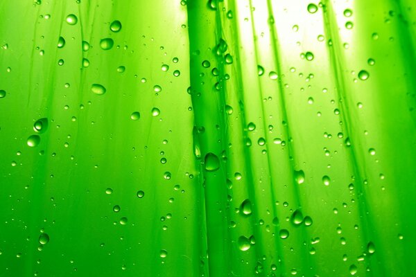 Water droplets on a green background with the rays of the sun