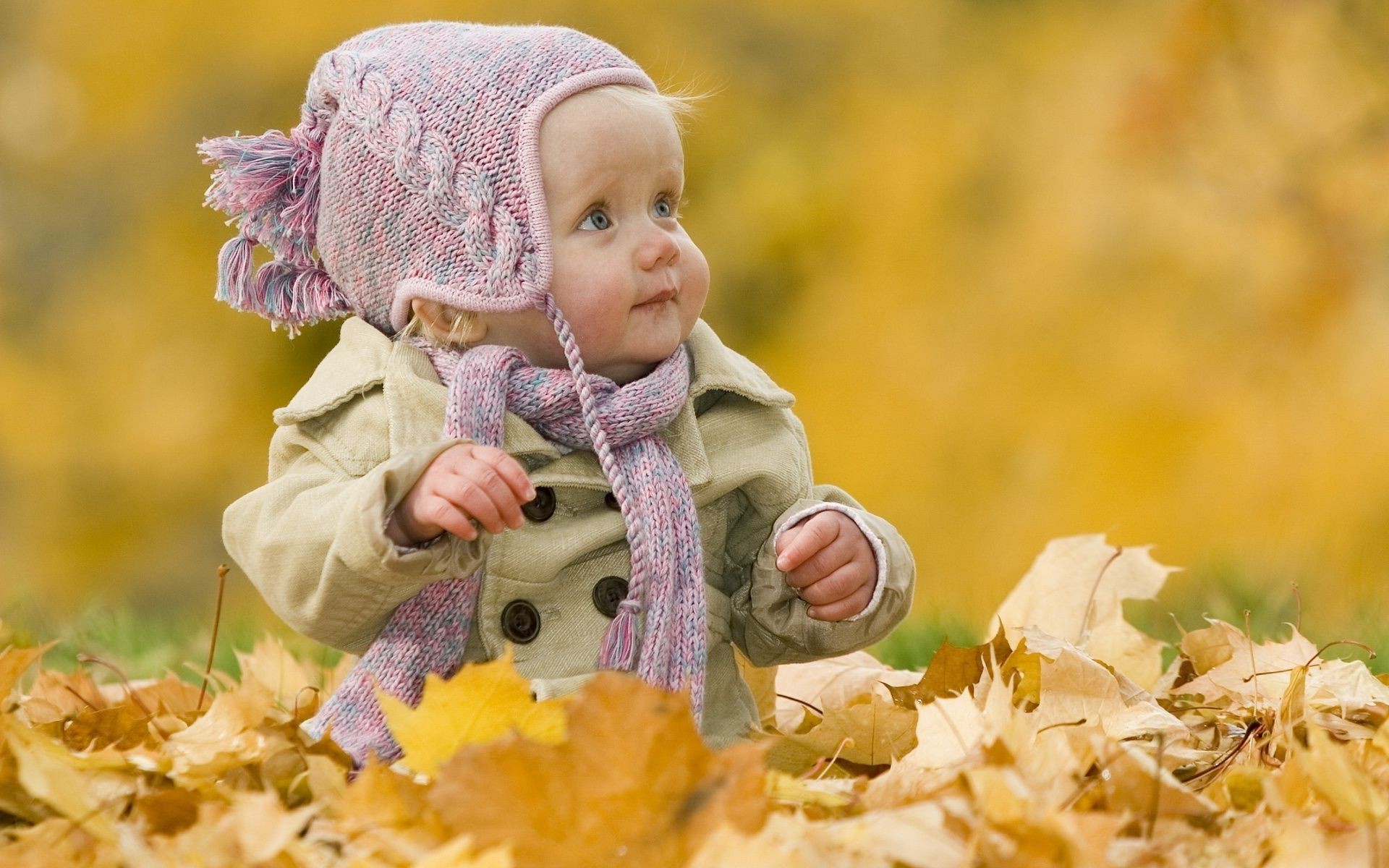 enfants en plein air automne nature enfant parc érable à l extérieur peu mignon plaisir feuille fille bonheur herbe saison à l extérieur belle loisirs sourire