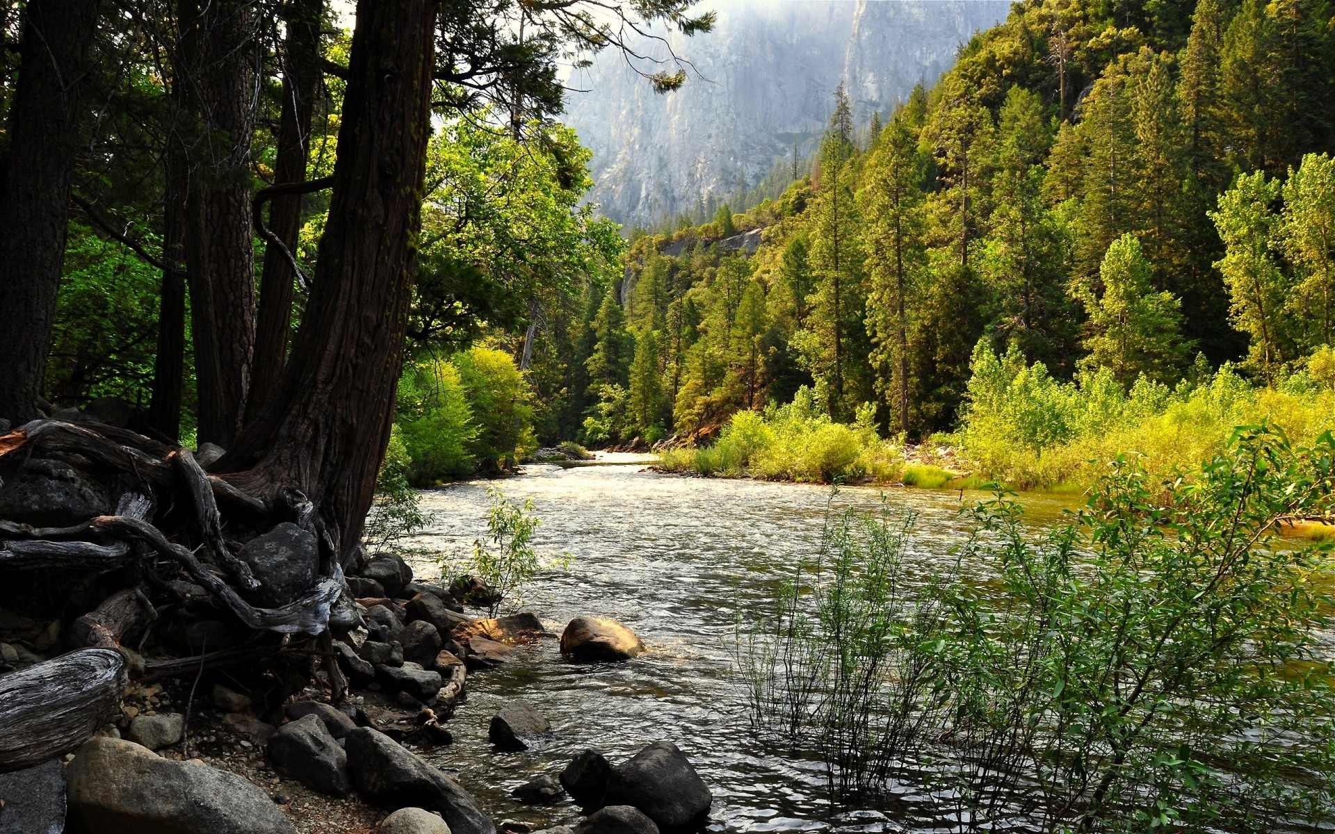 landscapes water wood river nature tree landscape outdoors travel scenic stream park lake leaf fall mountain summer environment