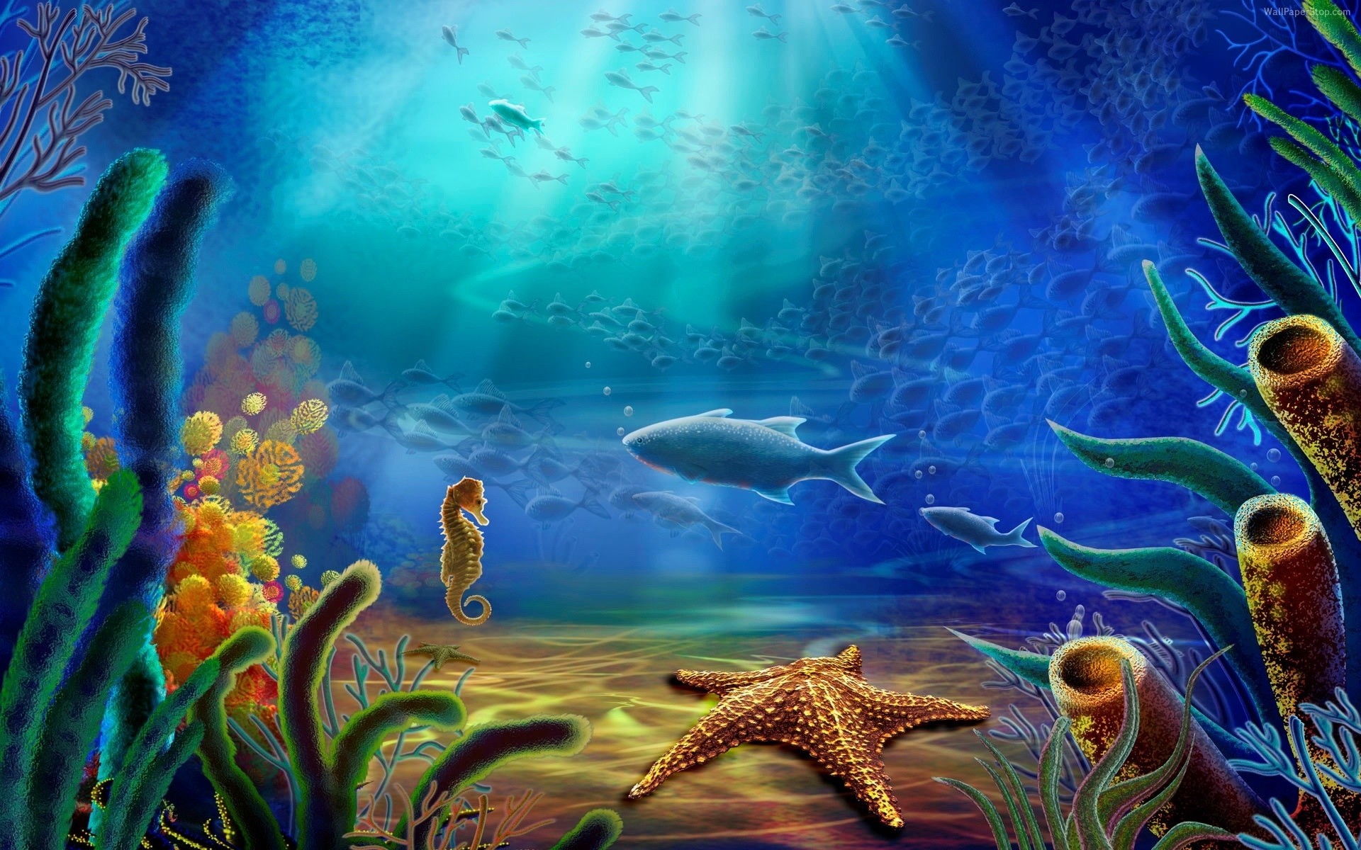 fantasy subacquea pesce corallo acqua acquario barriera corallina oceano mare immersioni nuoto invertebrati profondo