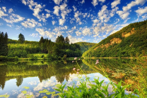 Águas claras do lago da montanha