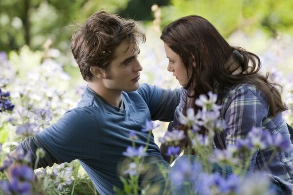 A shot from the movie Twilight outdoors