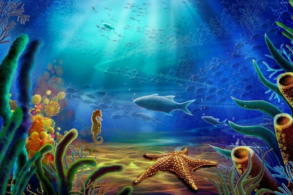 梦幻般的海底世界与珊瑚和鱼类