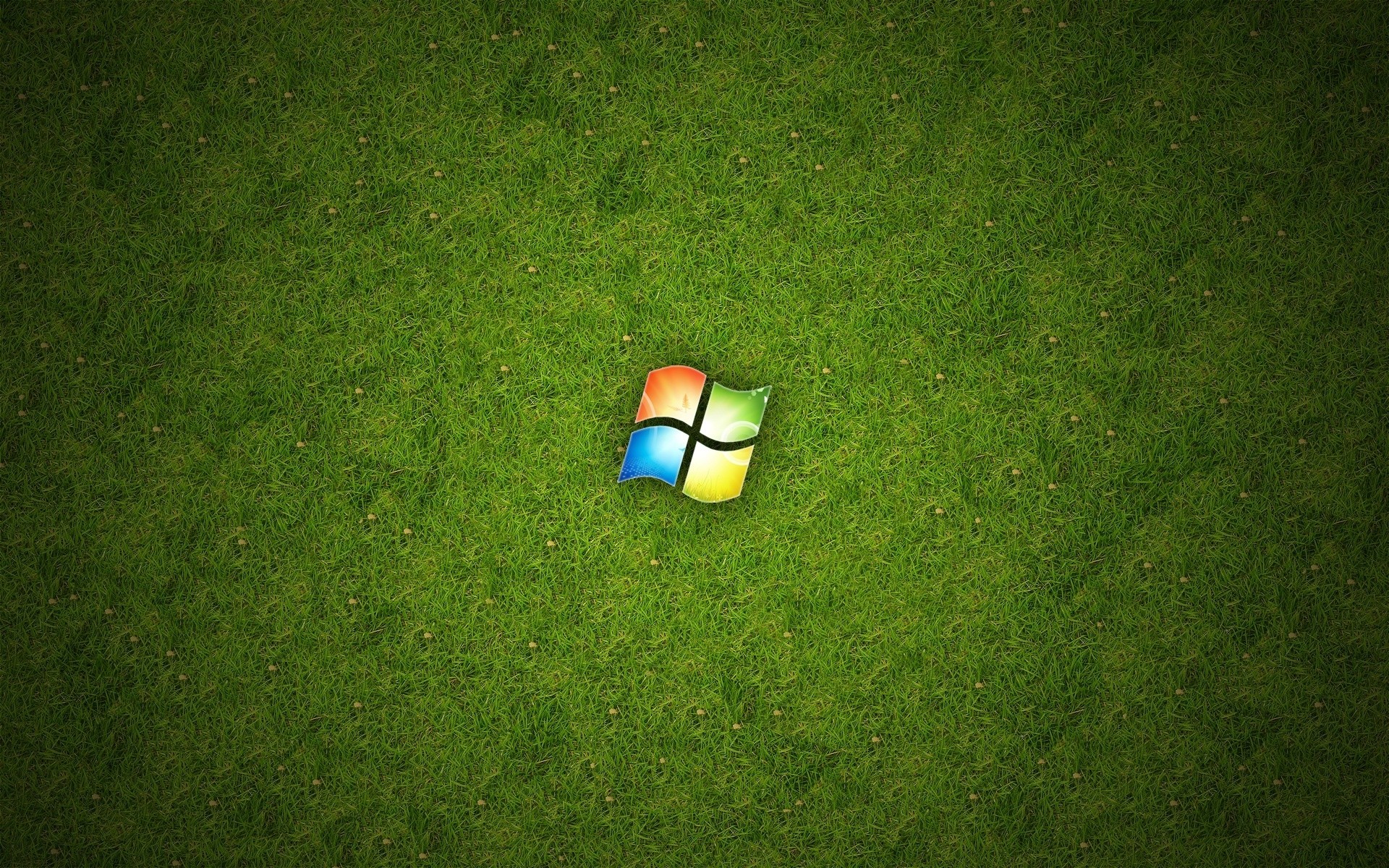 windows calcio palla erba calcio prato luce gioco golf concorso stadio giardino ombra colore ricreazione partita ricreazione