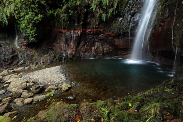 Cozy beautiful bowl of a small waterfall