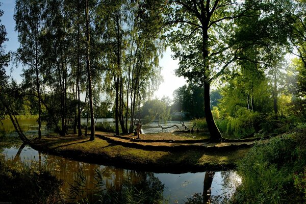 A calm river flows through a green forest