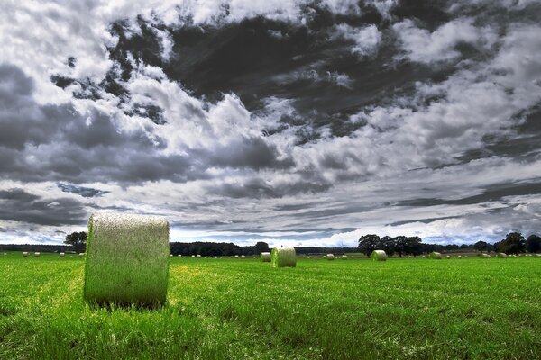 Prato di smeraldo sotto un cielo nuvoloso