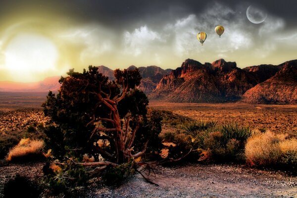 Beautiful sunset in the desert with bushes