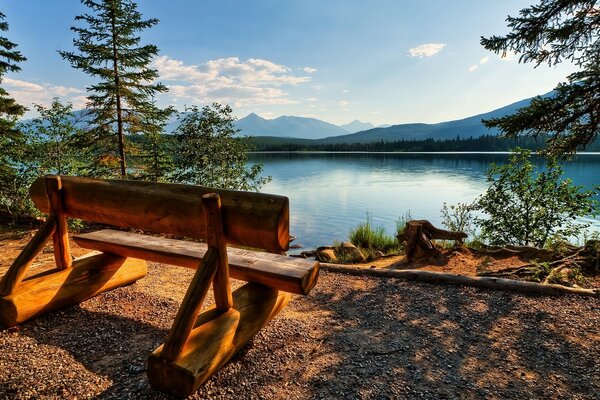 Wooden bench on the lake shore