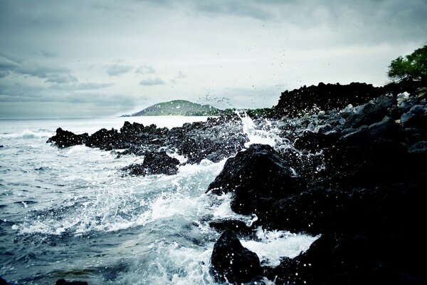 Foam surf at the rocky shore