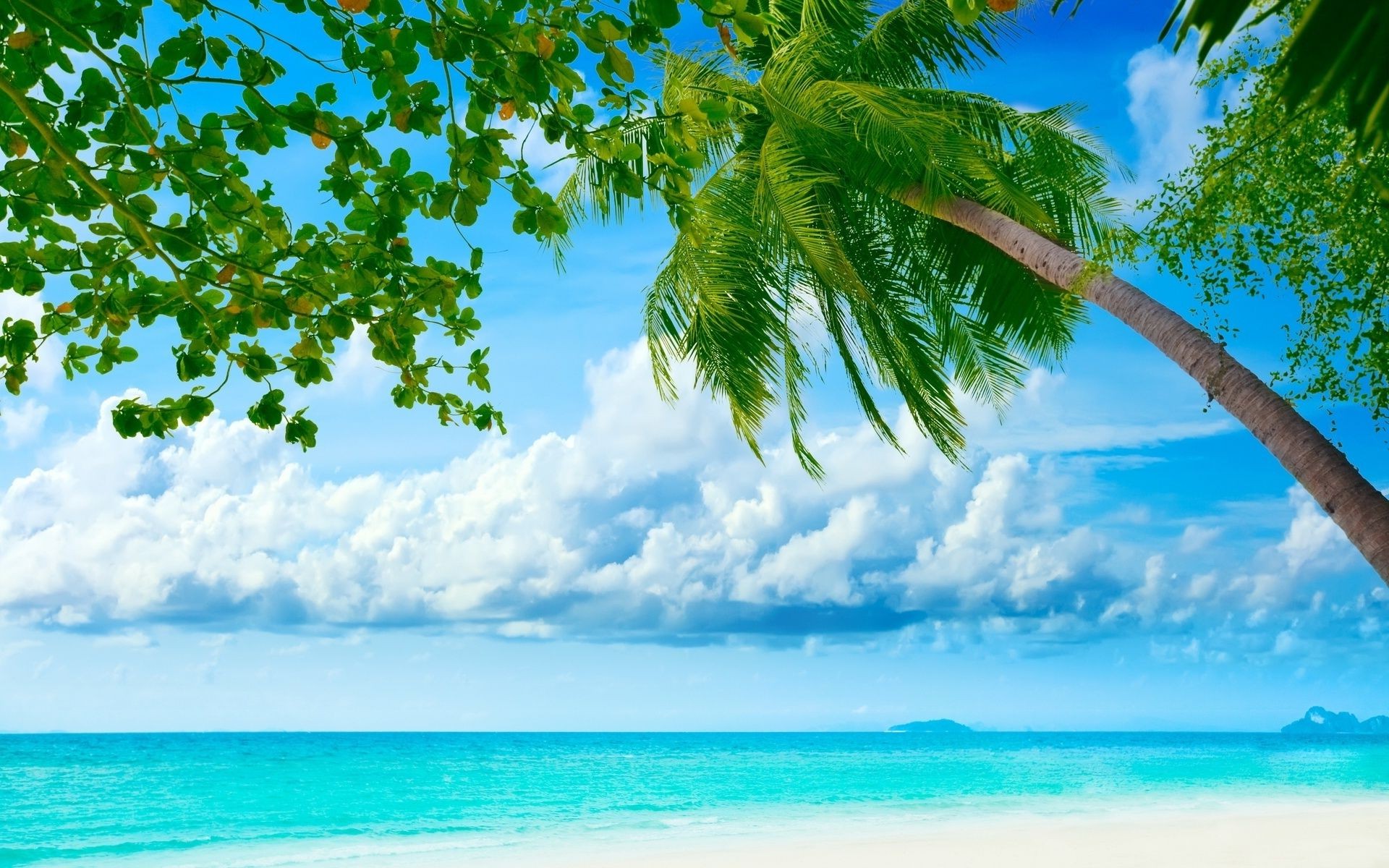 meer und ozean sommer tropisch sonne natur wasser idylle strand himmel baum gutes wetter sand paradies türkis reisen insel landschaft exotisch ozean landschaft