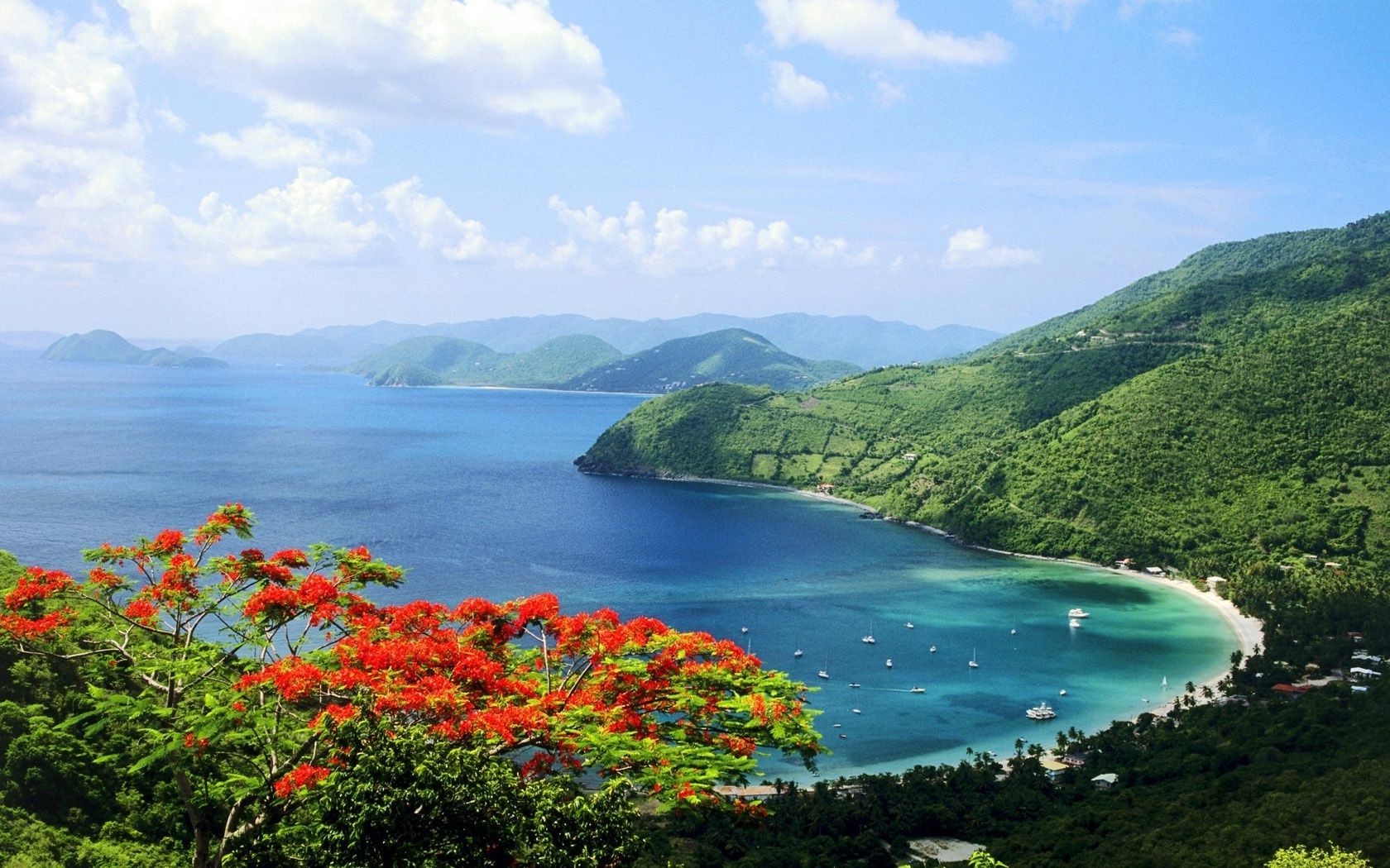 flores agua viajes mar naturaleza isla paisaje al aire libre cielo árbol verano playa mar montaña luz del día escénico tropical bahía océano