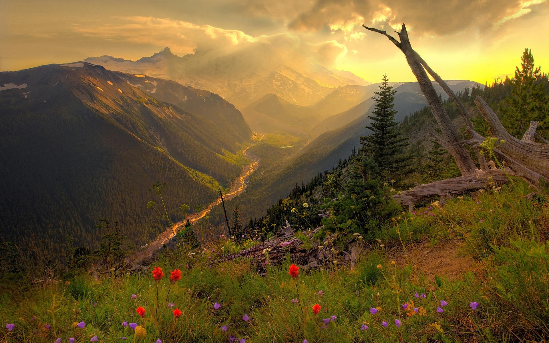 landscapes mountain landscape travel outdoors nature sky sunset valley dawn tree hill scenic daylight wood grass grassland