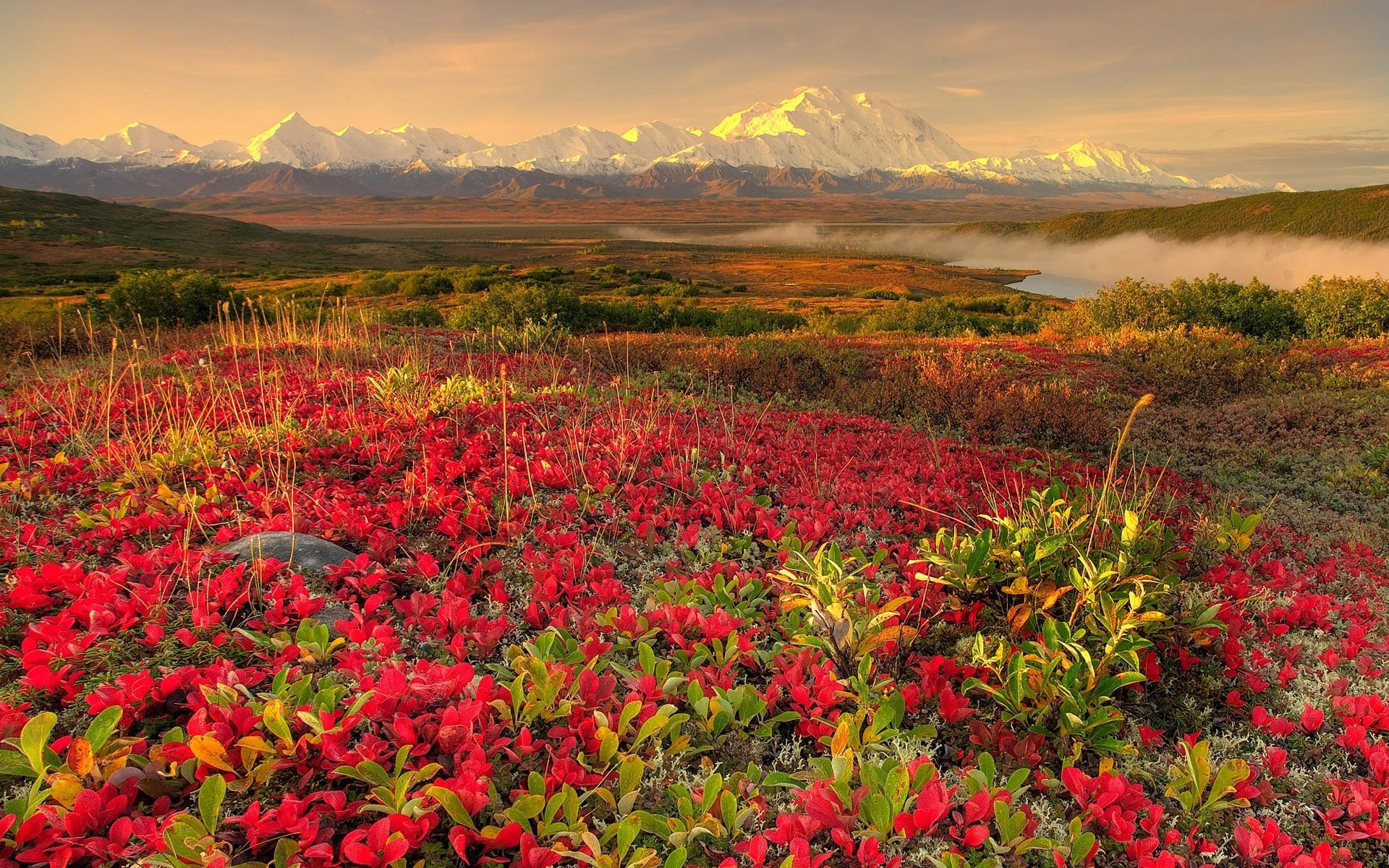 paisagens natureza paisagem flor campo flora ao ar livre verão folha temporada feno rural cênica cor bom tempo amanhecer árvore céu montanhas