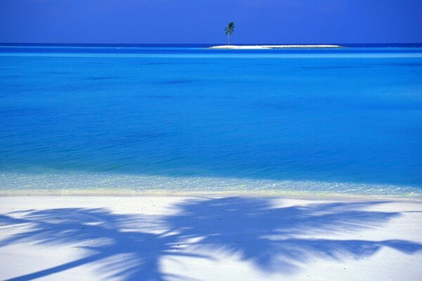 Mer bleue sans fin avec du sable blanc