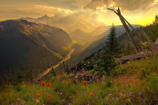 Mountainous landscape with a golden river.