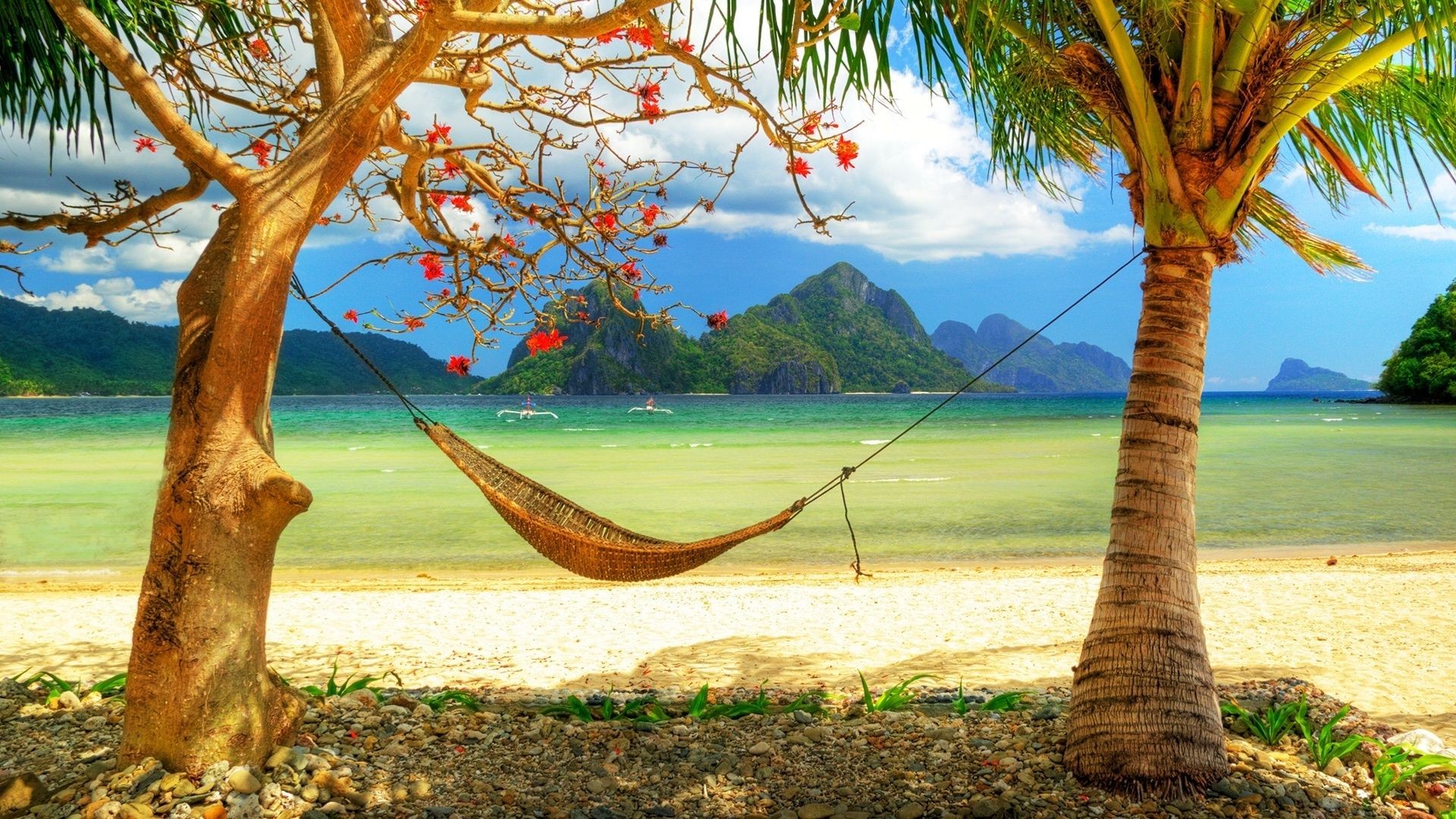 meer und ozean natur holz tropisch holz himmel strand landschaft sommer palmen blatt meer ozean reisen wasser entspannung exotisch sand flora sonne