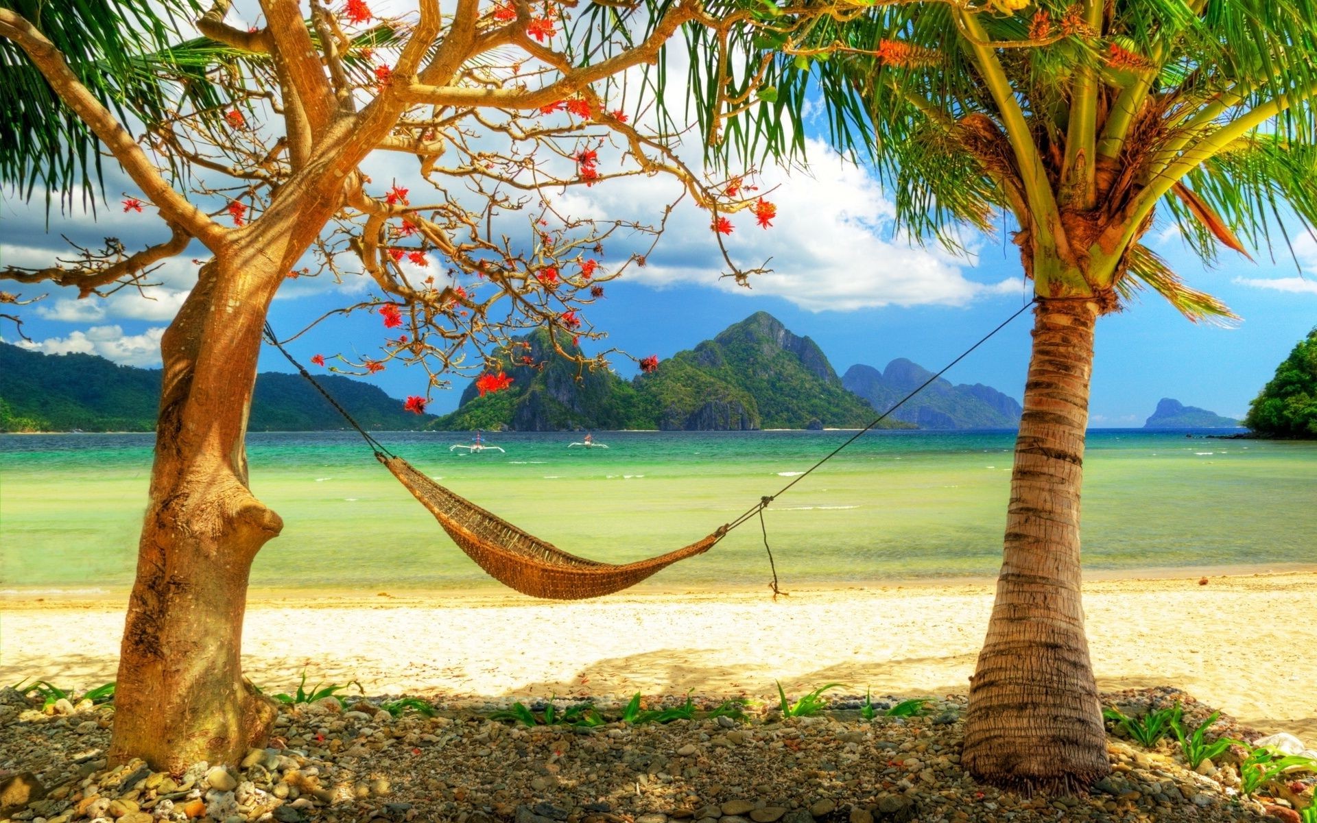 sea and ocean tree tropical nature palm wood summer leaf exotic beach sky travel landscape coconut relaxation seashore paradise idyllic vacation ocean