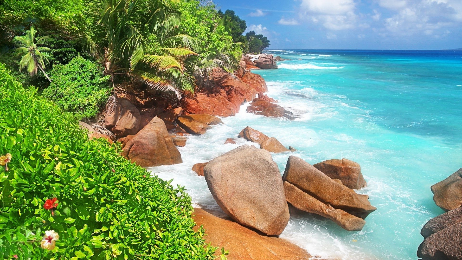 mer et océan tropical eau été nature paradis voyage vacances plage turquoise exotique belle mer paysage station balnéaire île détente idylle soleil océan