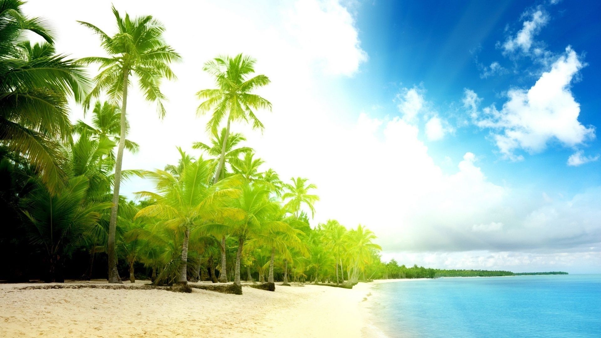 mer et océan tropical sable plage été idyllique noix de coco soleil palmiers exotiques eau voyage paradis nature station balnéaire mer beau temps arbre détente île