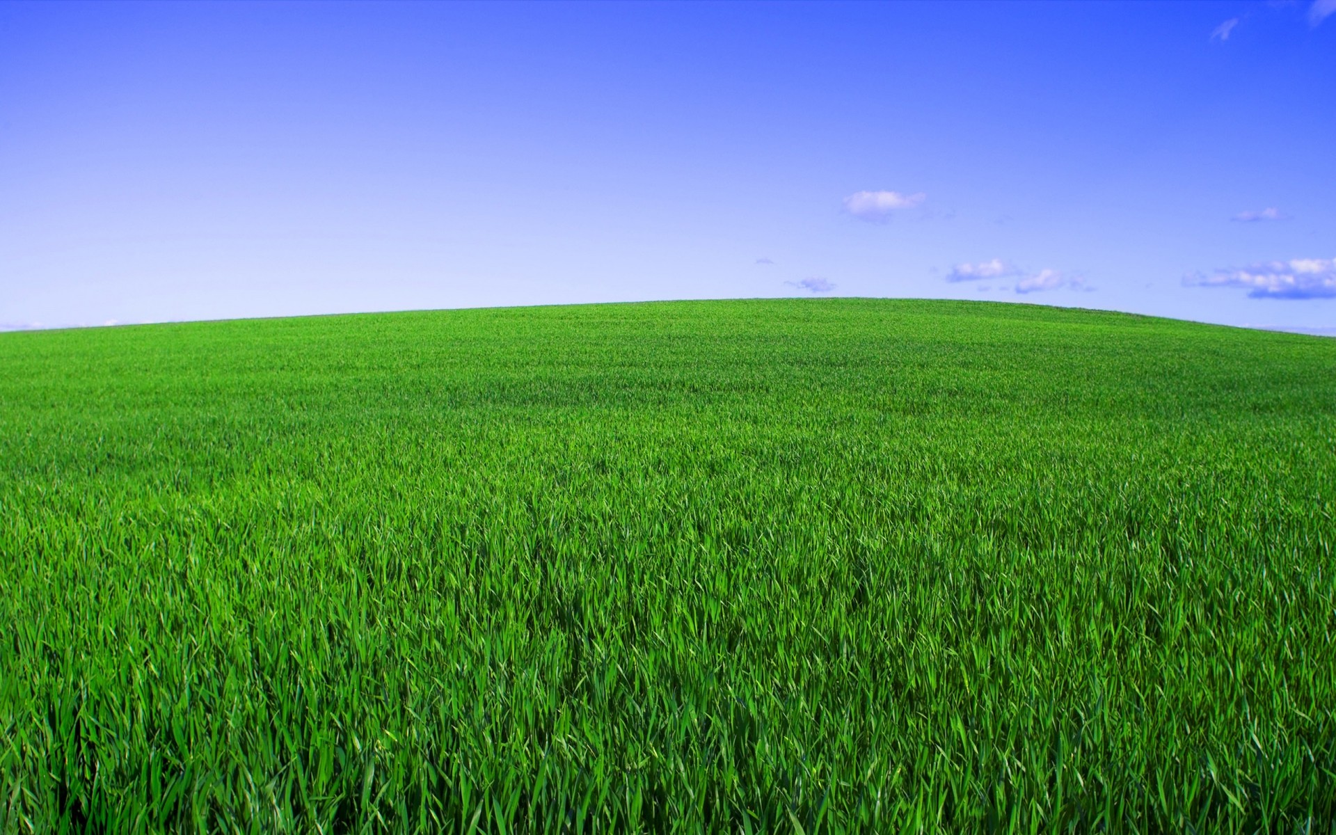 landschaft feld des ländlichen gras bauernhof weide heuhaufen landschaft wachstum horizont landschaft landwirtschaft boden natur rasen sommer gutes wetter sonne idylle grün himmel