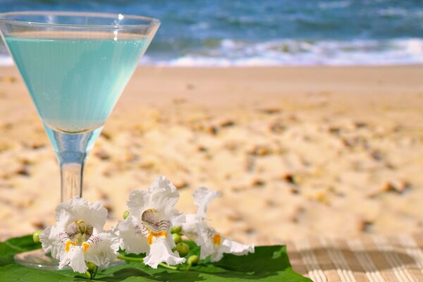 Cocktail on the beach by the ocean