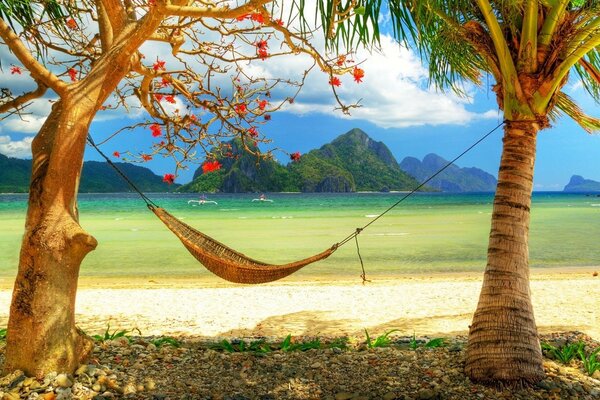 Hängematte auf einer tropischen Insel vor dem Hintergrund des Ozeans