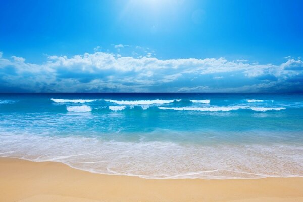 Plage tropicale sur l océan