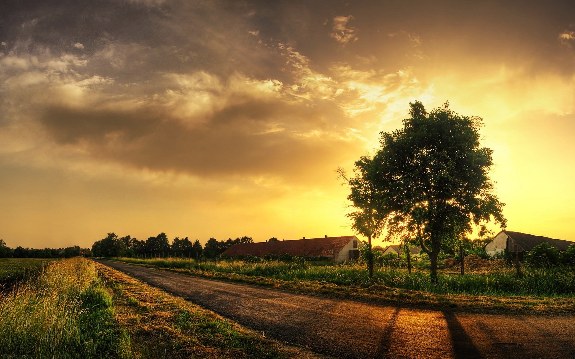 paysage coucher de soleil aube nature soleil paysage ciel rural arbre campagne à l extérieur automne herbe beau temps champ été soir lumière crépuscule route