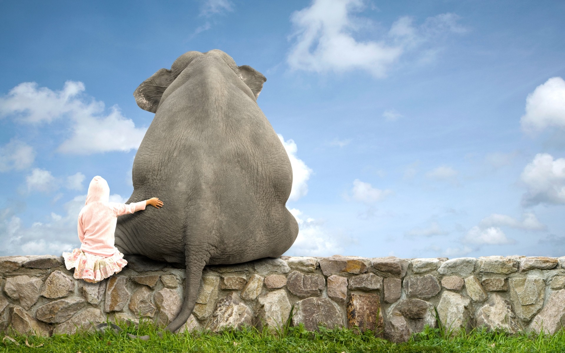 photo manipulation sky rock outdoors stone travel nature grass landscape elephant